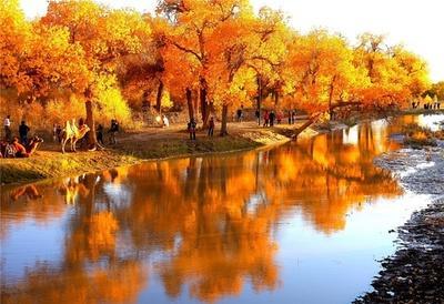 把雅鲁藏布江截流调水到新疆这地方,可造五个