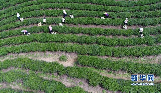 ������Ϫ������������ժæ