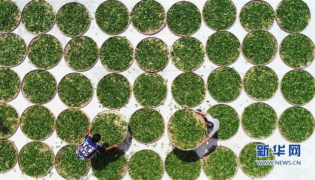 ������Ϫ������������ժæ