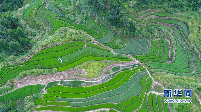 ������Ϫ������������ժæ