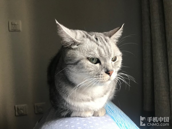 海信双屏手机A2 Pro评测：扔掉kindle吧