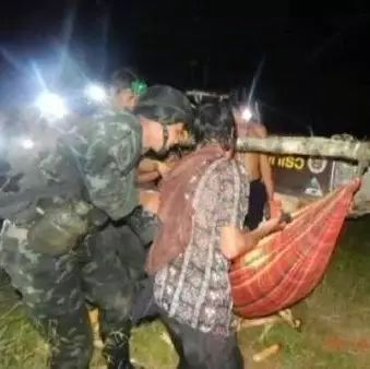 泰国男子深夜摘蘑菇煮宵夜 遭象群袭击当场死亡