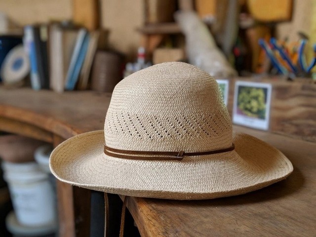 谷歌员工晒出Pixel 2实拍样张与视频：画质惊艳 