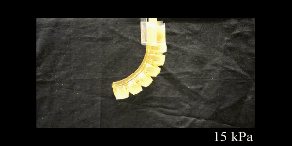 C839B2037505089B388DBD36A0C5506D3E2C7099_size1992_w600_h300.gif