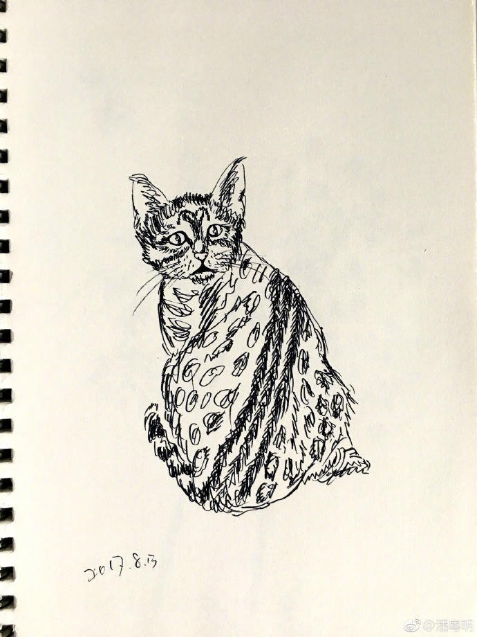 4746ab4ely1fii5lcore1j22c0340qv6