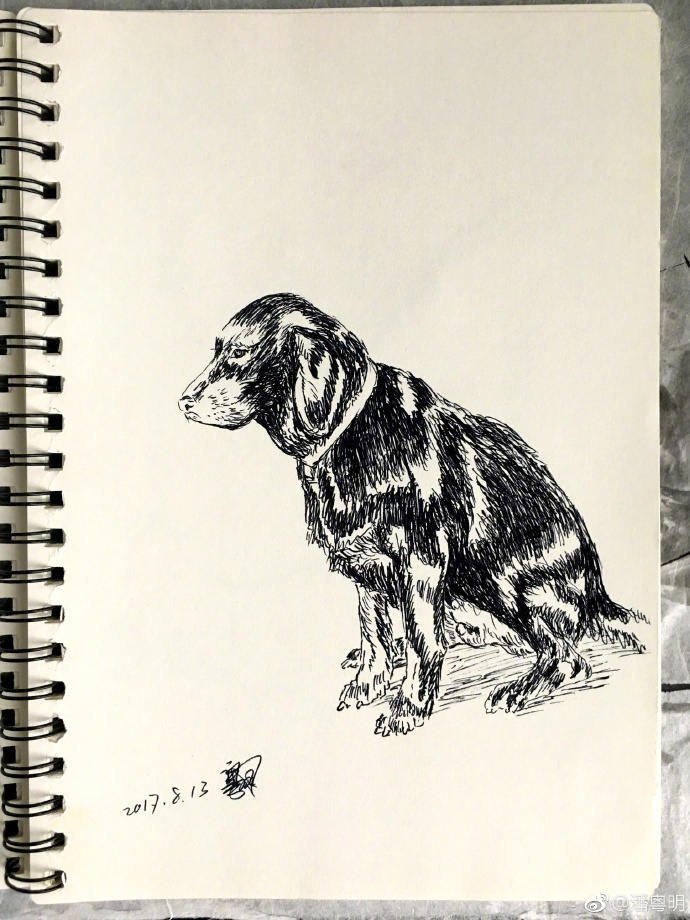 4746ab4ely1fii5l6x3pij22c0340u0y