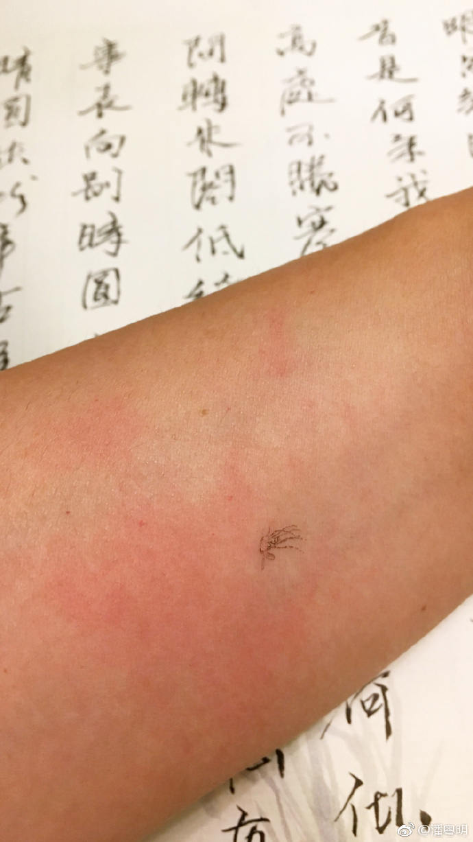 4746ab4ely1fi7h91cjqbj20ku112qv5