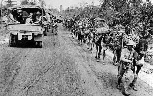 日军一号作战为何导致40万国军全面崩溃?原因