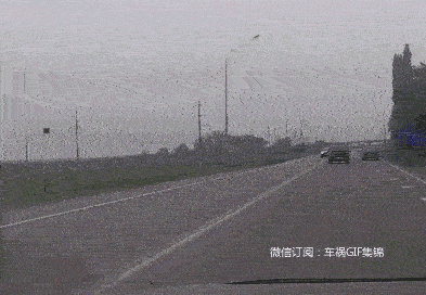 白车逆行引发对撞