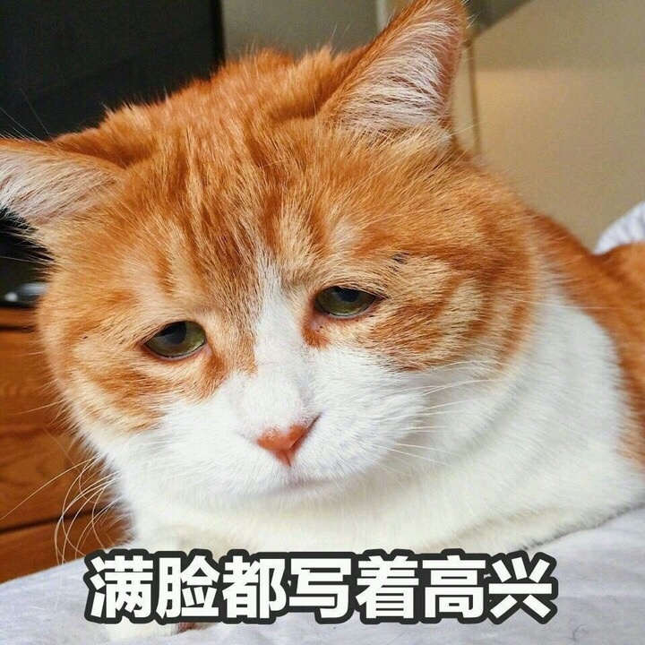 5F6512BCF1FE577C6FCA250A2AA9D4C4EF95EF90_size189_w720_h720.jpeg