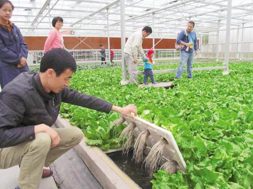 高科技飞进田间地头,人工种子是啥来头?