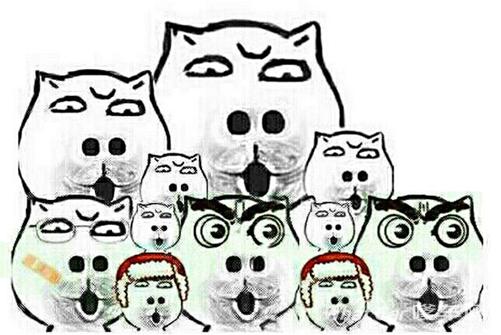 编辑部的日常:用两万块的显示器办公