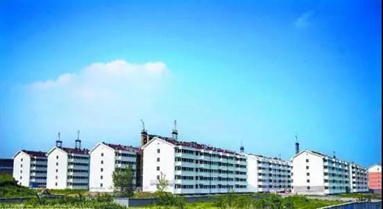 义乌人才购房租房补助11月开始受理!各镇街咨