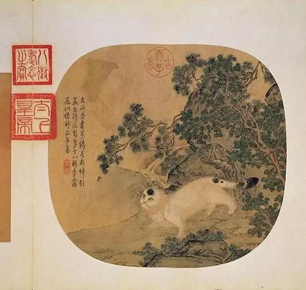 欣赏丨中国古代名画中的猫,可爱