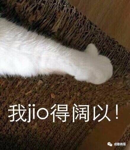 国外小哥PS将现在的自己送进儿时照片 网友纷纷效仿