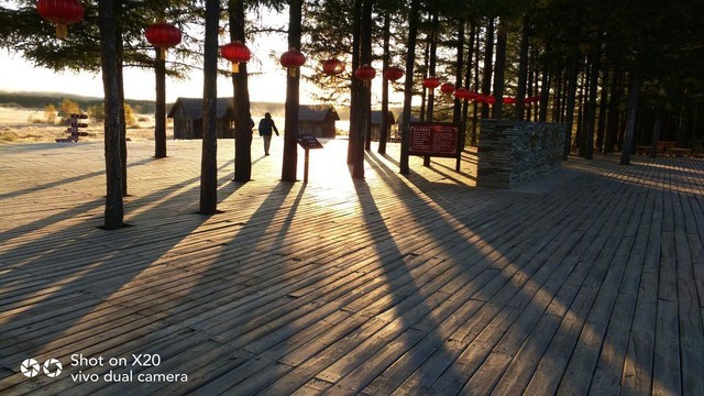 干货分享:用vivo X20这样拍逆光大片