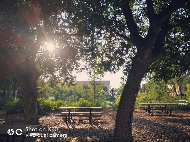 干货分享:用vivo X20这样拍逆光大片