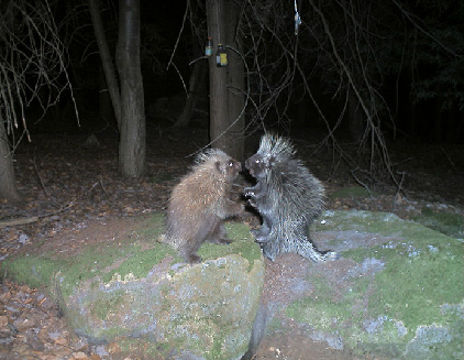 1508400880817514.png QQ截图20171019155028.png