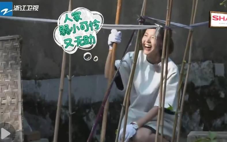 Ir4pMszZMs8C1Sdi96ZseSFjOTLU6RVTbTvfzX550IG9b1507969208668