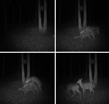 1508400940969208.png QQ截图20171019155108.png