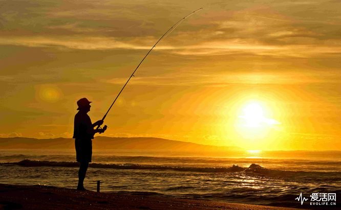 fishing-sunset-hd-wallpaper