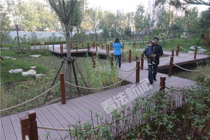 西革新里城市休闲公园对外开放:绿色海绵 雨水