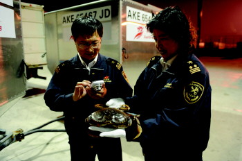 青岛流亭机场海关多点发力,扎实推进文明单位