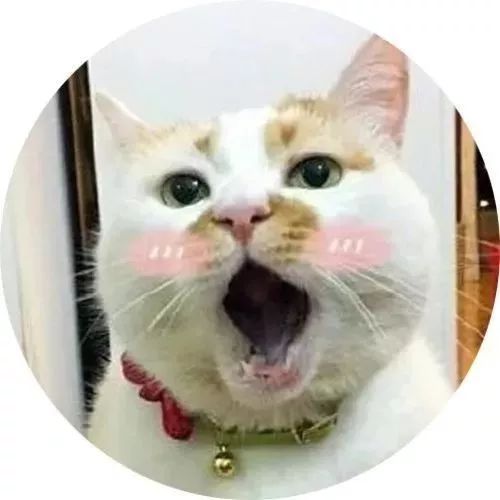 云吸猫，你也能走上人生巅峰_凤凰资讯