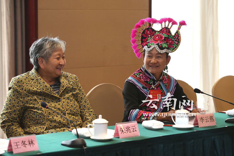 十九大云南代表表情包:阳光笑颜展自信(高清组