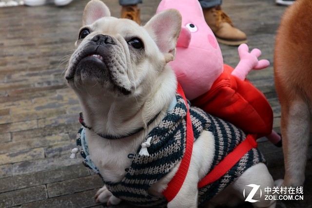 轻巧便携还有高颜值 佳能EOS M100评测 