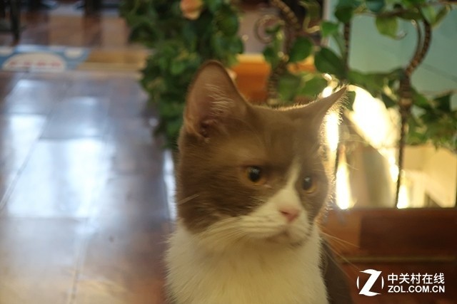 口袋里的精彩 佳能G9X II让生活更美好