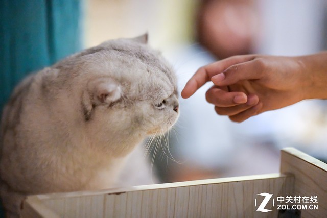 口袋里的精彩 佳能G9X II让生活更美好