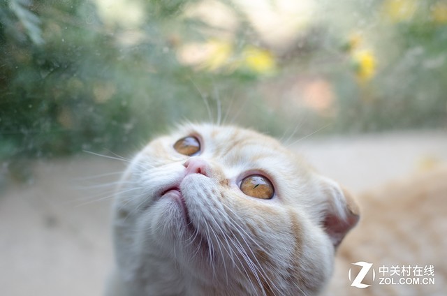 口袋里的精彩 佳能G9X II让生活更美好