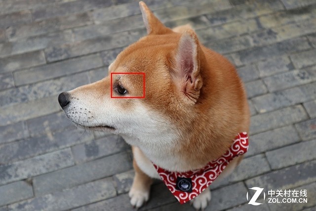 轻巧便携还有高颜值 佳能EOS M100评测 