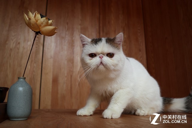 轻巧便携还有高颜值 佳能EOS M100评测 