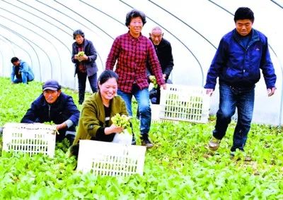 利辛贫困人口_利辛一中图片