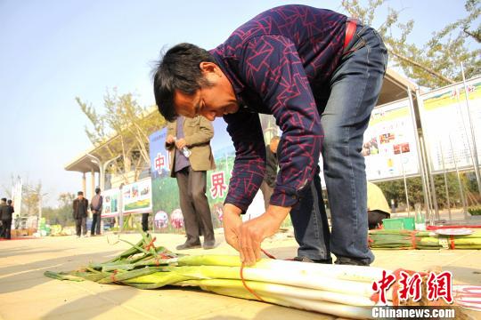 葱农们正在整理参加评选的大葱。 沙见龙摄 葱农们正在整理参加评选的大葱。 沙见龙摄