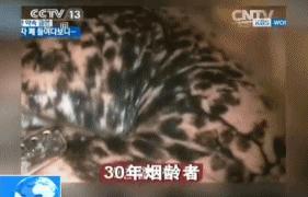 肿瘤院长告诫：不想患肺癌，出现这5个变化赶紧戒烟！