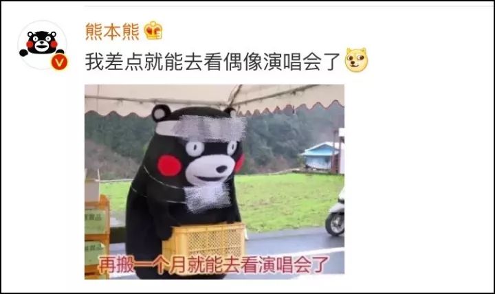 Ц�磡�͹ݹҺ����������ϵ��й�������Ƽ�