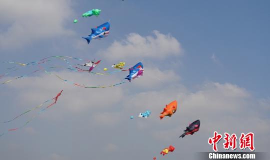 宜兴周铁镇获授中国风筝之乡荣誉称号