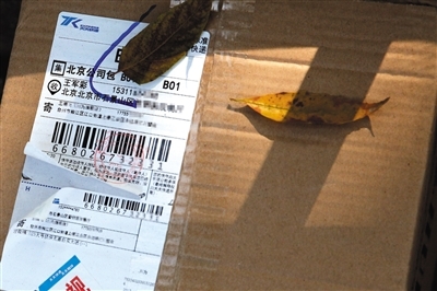 多家快递公司推出保护隐私面单