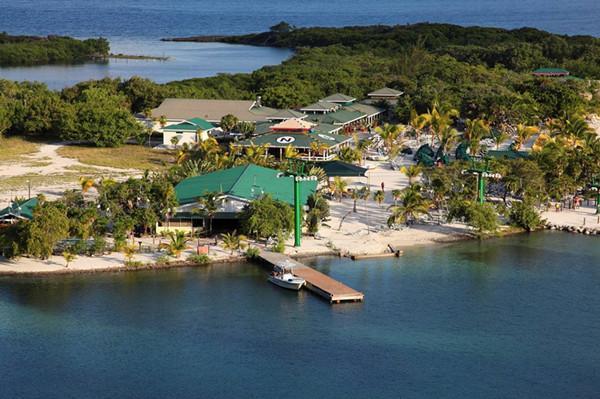 这两个奇葩国家,因为一场足球比赛爆发了战争