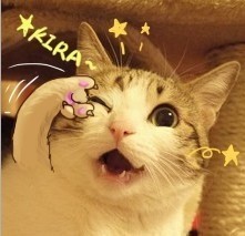 lcliving正方形大号抗菌防霉砧板