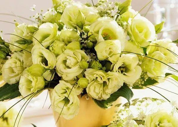 宋仲基&宋慧乔大婚，婚礼现场为何用这种花