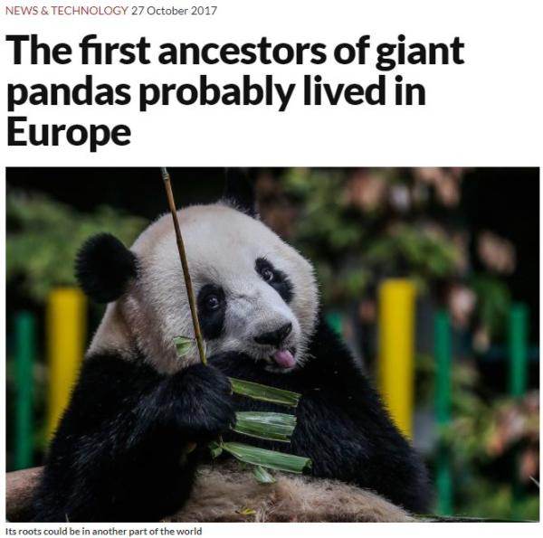 大熊猫起源欧洲？浙大生科院教授：表述不严谨