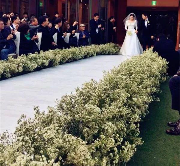 宋仲基&宋慧乔大婚，婚礼现场为何用这种花