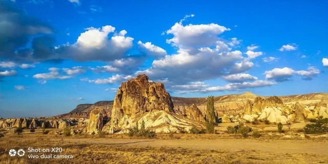 双11没激情? 那因为你没遇上vivo和迷妹 