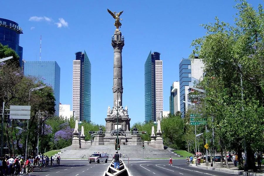 墨西哥gdp是哪个州_墨西哥赛州黄檀