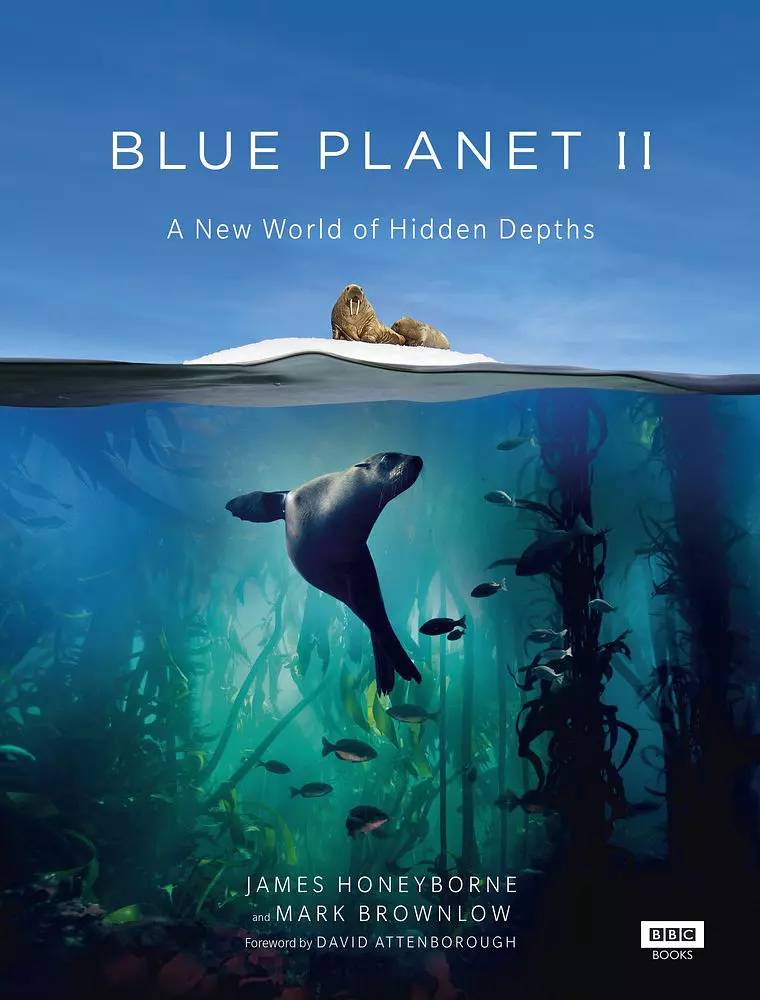 blue planet 2蓝色星球2而且还是憋了16年的大招——bbc今年又来放