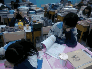 320_240gif 动态图 动图